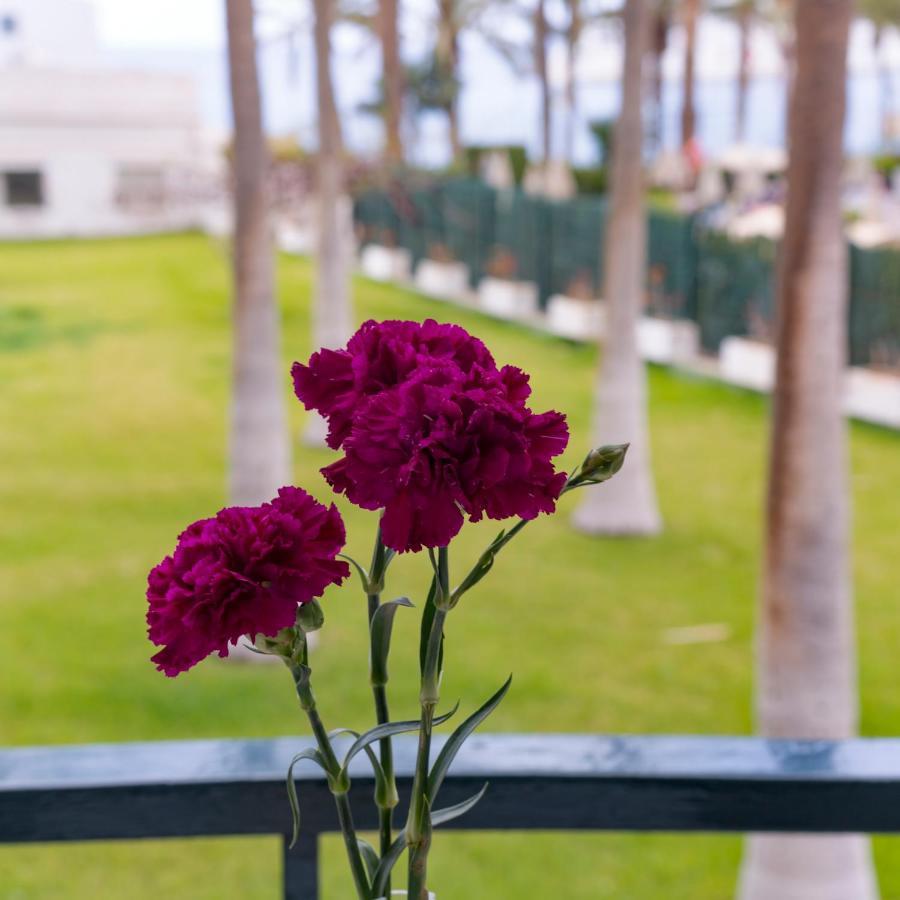 Studio Ocean Coast Los Cristianos Comodoro 外观 照片